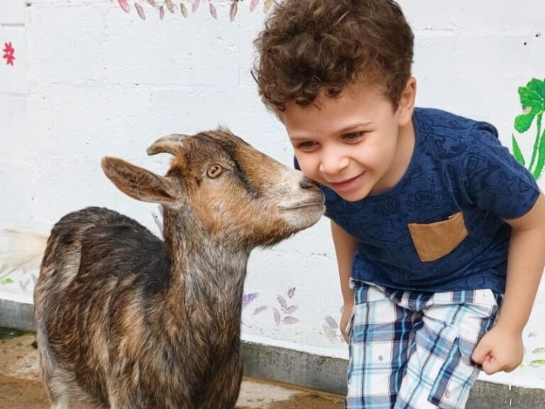 adventree fazendinha em são caetano