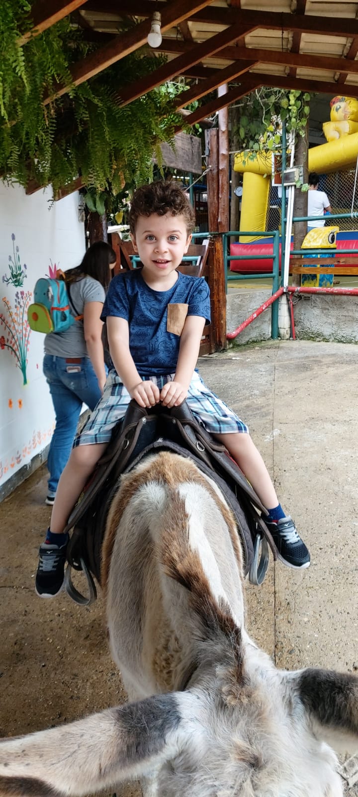 fazendinha em são caetano no adventree buffet