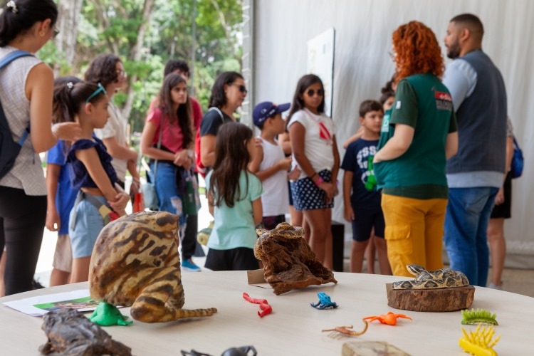 Feiras com as crianças